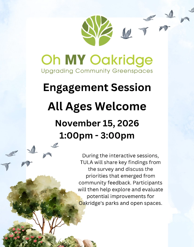 Engagement Session Poster