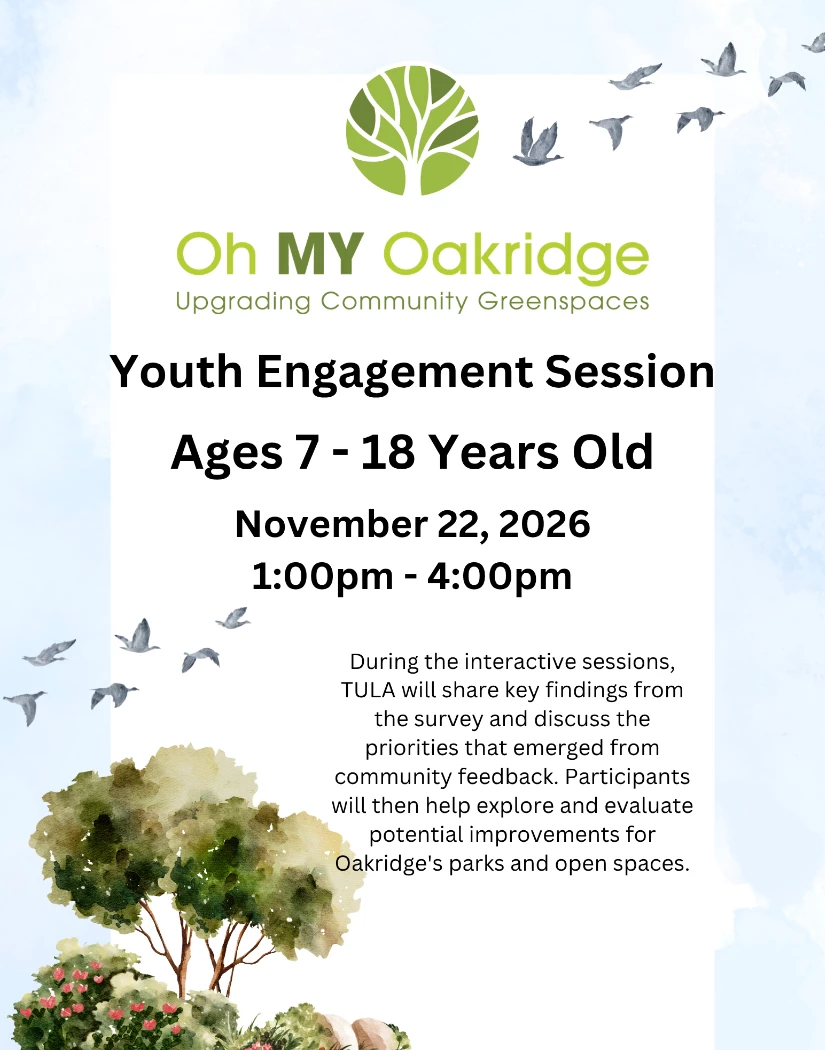 Youth Engagement Session Poster